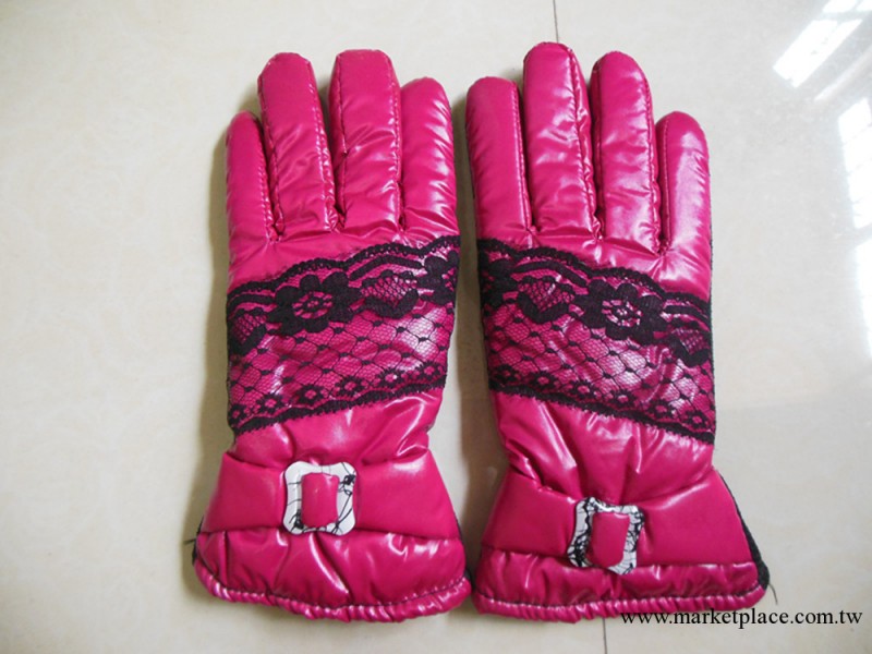 2013廠傢新品秋冬季女士保暖手套 滑雪手套 戶外騎行運動防寒手套工廠,批發,進口,代購