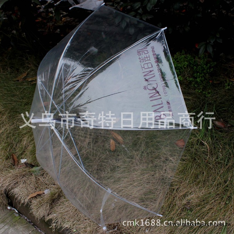 特價韓國流行 韓版創意彎柄自動透明傘/透明雨傘 美觀工廠,批發,進口,代購