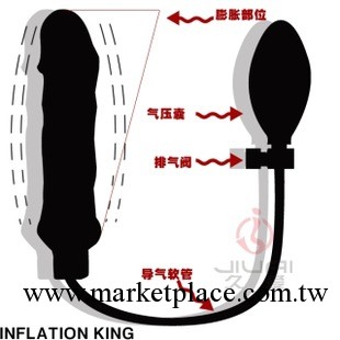 後庭充氣型玩樂器 仿真器具 大號肛塞 開發器工廠,批發,進口,代購