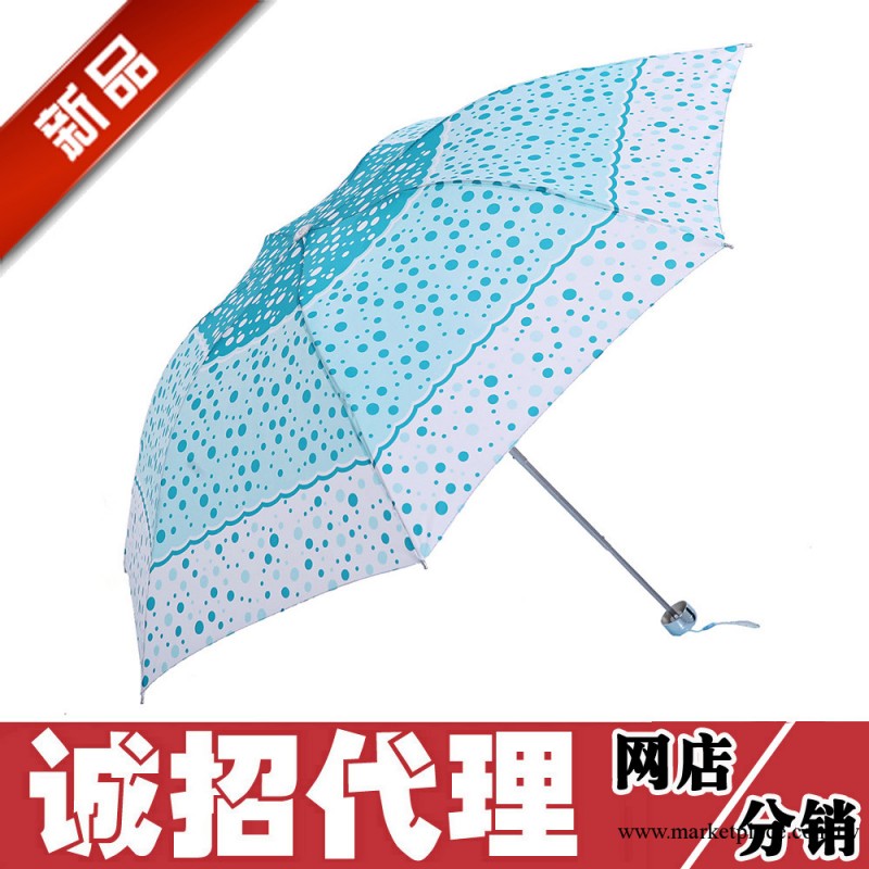 雨傘批發 新品 雪花點女士夏季遮陽傘個性創意韓版公主雨傘工廠,批發,進口,代購