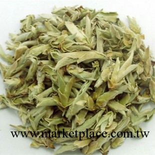 批發 2013年 雲南普洱茶生茶 景谷 野生古茶樹 白 芽苞 瘦身茶工廠,批發,進口,代購