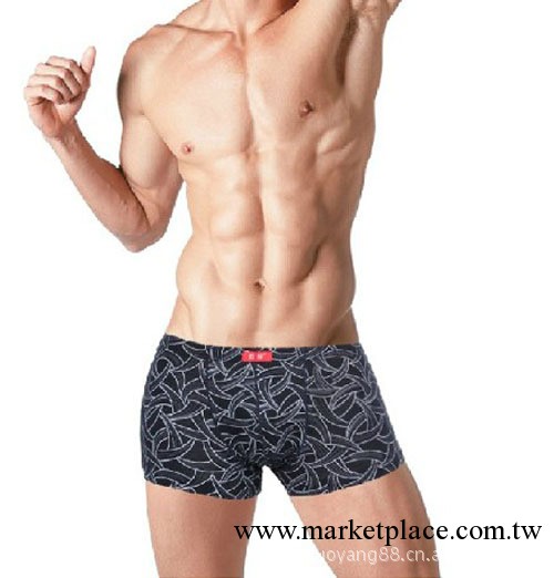 浪莎正品內褲 男士內褲 純棉印花平角內褲 舒適全棉內褲LW5020工廠,批發,進口,代購
