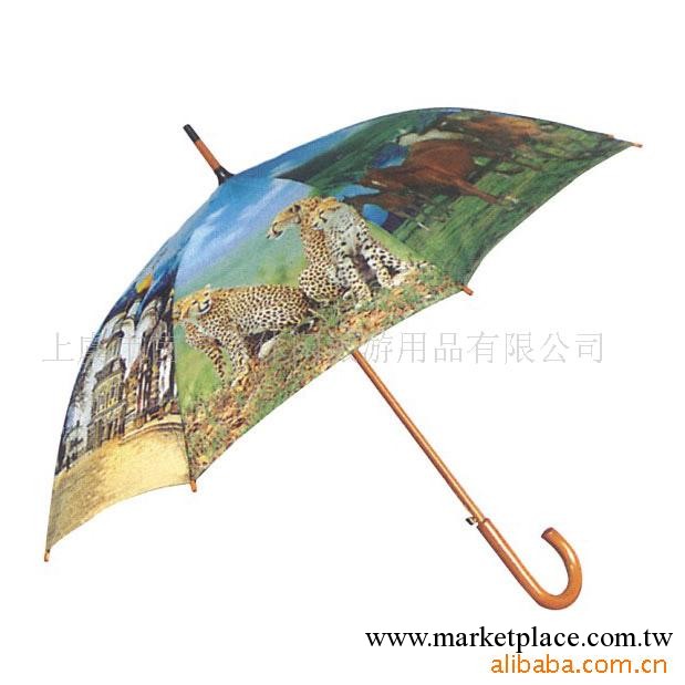 供應雨傘(rain umbrella) 雨傘 創意雨傘工廠,批發,進口,代購