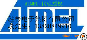 ATMEL代理 半導體 集成電路IC  AT45DB041-RI【專營原裝正品】批發・進口・工廠・代買・代購