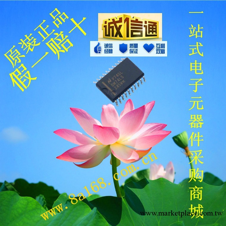 現貨供應NS (美國國傢半導體)74LS245WM 集成電路IC 原裝正品工廠,批發,進口,代購