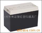 供應電瓶模具，汽車電瓶模具。傢用電瓶模具。塑料模就工廠,批發,進口,代購