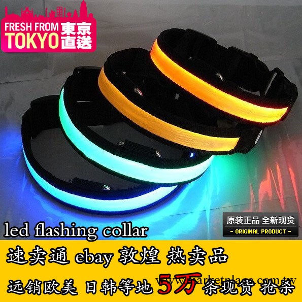 LED發光狗項圈  大中小型犬寵物項圈 尼龍織帶項圈 夜光項圈 現貨工廠,批發,進口,代購
