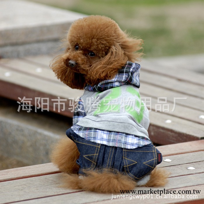 2013新款寵物服裝春季服裝狗衣服小額批發支持支付寶寵物服裝出口工廠,批發,進口,代購