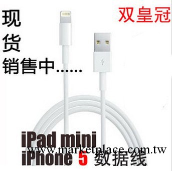 蘋果iPhone5數據線 5代 Lightning USB 8pin充電數據線 現貨 1米工廠,批發,進口,代購