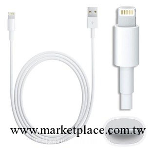 蘋果iPhone5s數據線 5代Iphone5/5C數據線 Lightning ipad mini工廠,批發,進口,代購