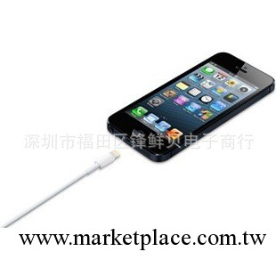 現貨批發供應iphone5S數據線 蘋果5代數據線 閃電數據線Lighting工廠,批發,進口,代購