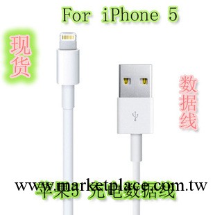 蘋果數據線 iphone5/5S/5C數據線 ipad mini 數據線 支持IOS 7.0工廠,批發,進口,代購