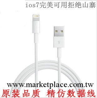 原裝品質 蘋果5數據線 touch5 ipad4 mini iPhone5數據線工廠,批發,進口,代購