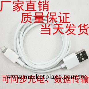 apple iphone5 數據線 蘋果5代數據線 ipad mini 數據傳輸 充電線工廠,批發,進口,代購