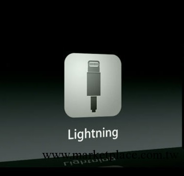 iphone5公頭，蘋果5公頭，Lightning to USB插頭批發・進口・工廠・代買・代購