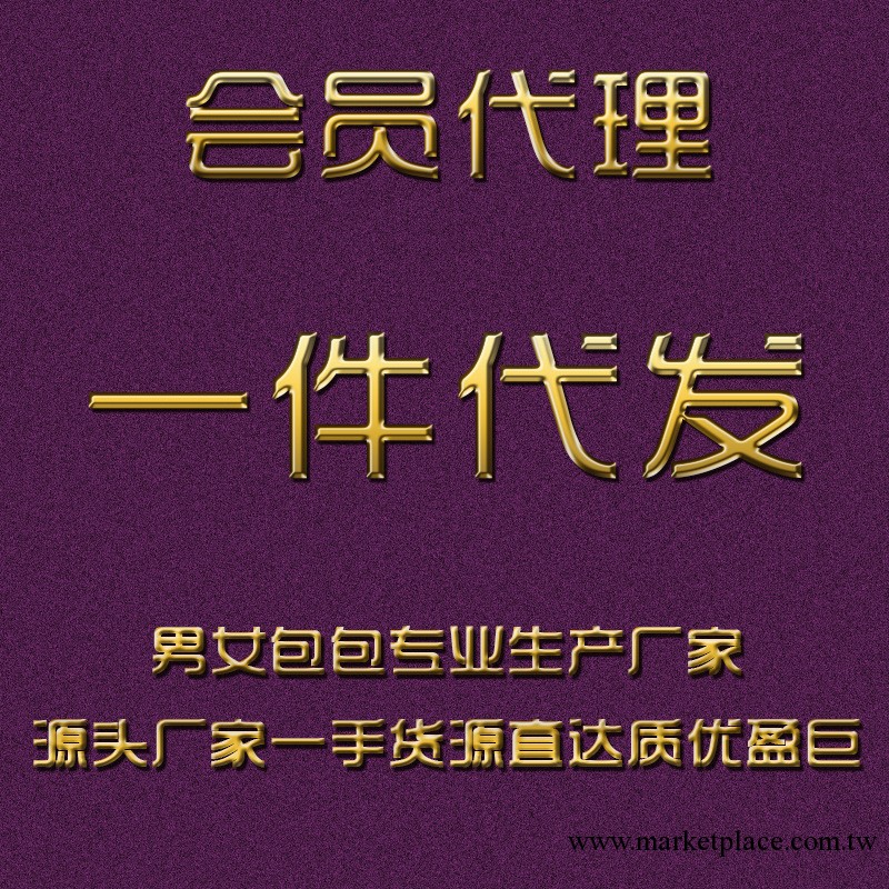 一件代發專拍 皮具廠傢 廣州女包 廠傢直供 來樣定制 一件代發工廠,批發,進口,代購