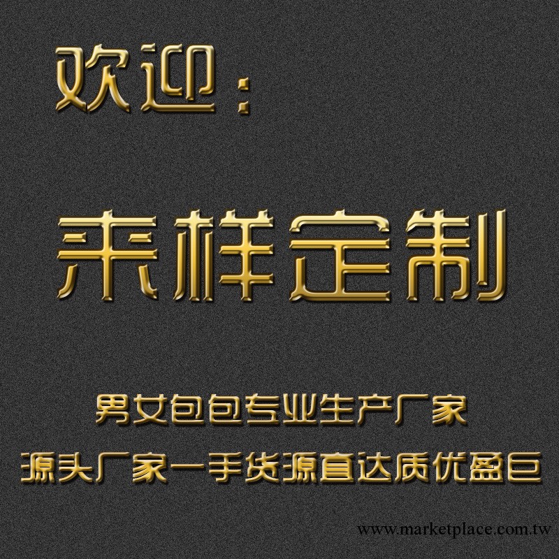 來樣訂制專拍 皮具廠傢 廣州女包 廠傢直供 來樣定制 一件代發工廠,批發,進口,代購