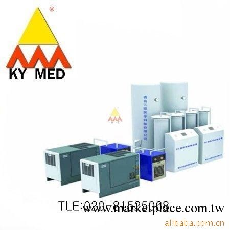 SK-Ⅱ型醫用制氧設備工廠,批發,進口,代購