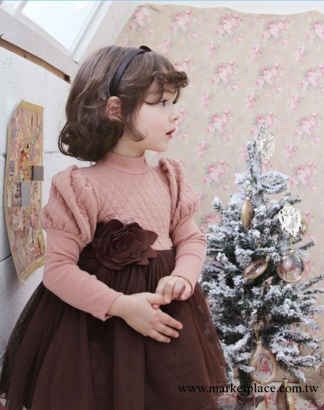 一件代發韓國童裝 2013冬裝女童加絨連衣裙蕾絲加厚公主裙QD13101工廠,批發,進口,代購