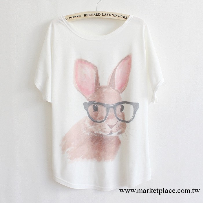 2013夏季新款日韓版女裝休閑眼鏡肥兔蝙蝠衫寬松短袖T恤批發6546工廠,批發,進口,代購