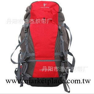 徽羚羊45升登山包45L 雙肩旅行包 超大容量登山包工廠,批發,進口,代購