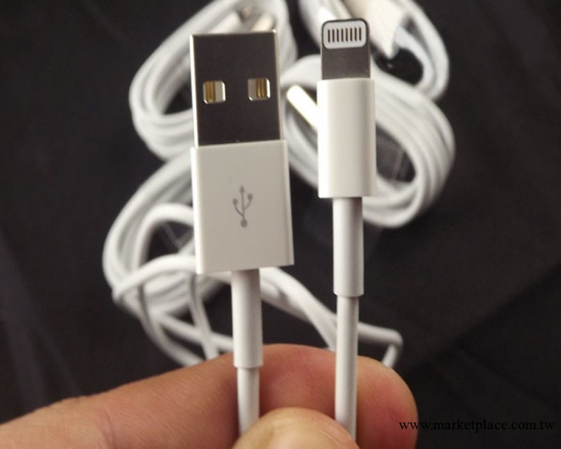 蘋果5數據線 IPHONE5 數據線 Usb連接線 apple5數據線充電線工廠,批發,進口,代購