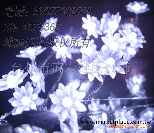 批發聖誕燈/婚慶背景裝飾/2.5米白色荷花電池燈工廠,批發,進口,代購