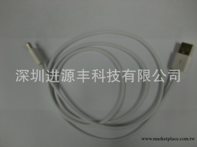 供應iphone5 數據線 Lightning 最新蘋果五代數據線工廠,批發,進口,代購