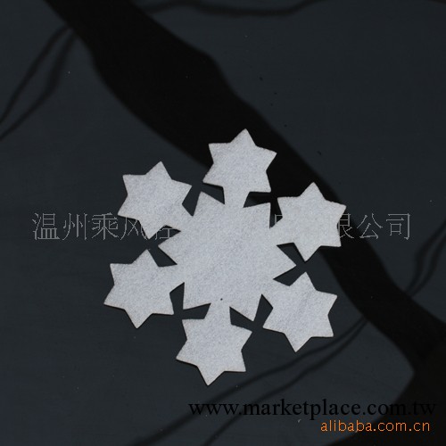 廠傢供應各類泡沫聖誕掛件雪花 CF-XH1001工廠,批發,進口,代購