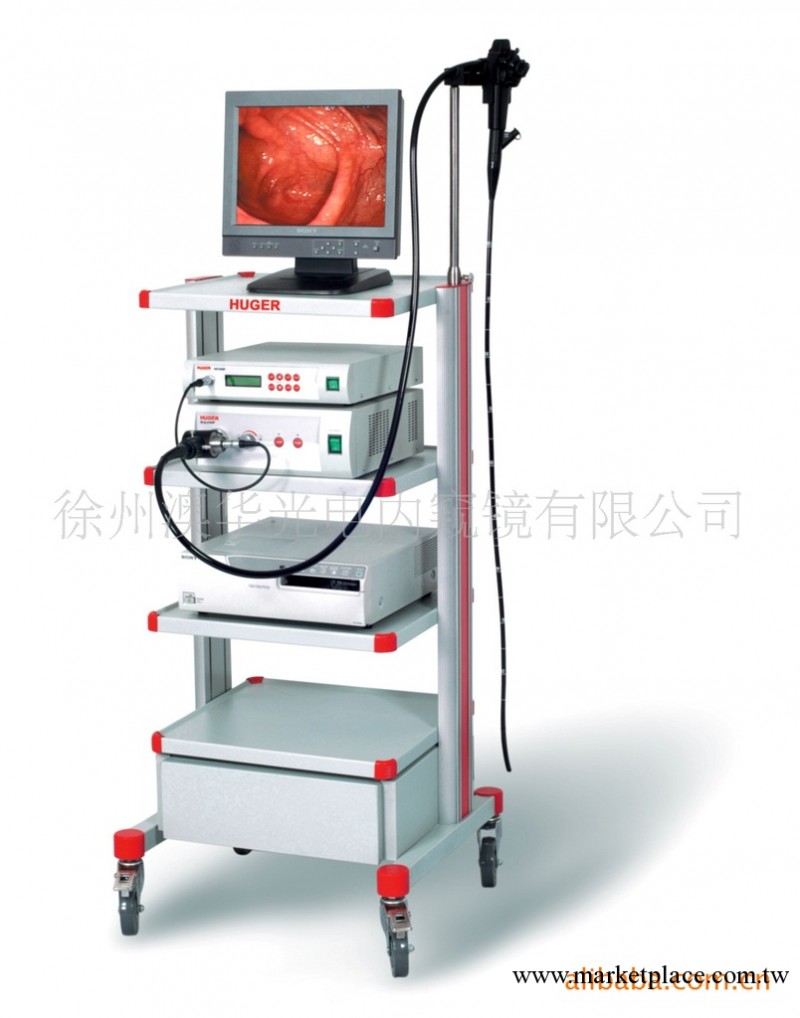 【腸鏡 電子腸鏡 內窺鏡 醫療設備】工廠,批發,進口,代購