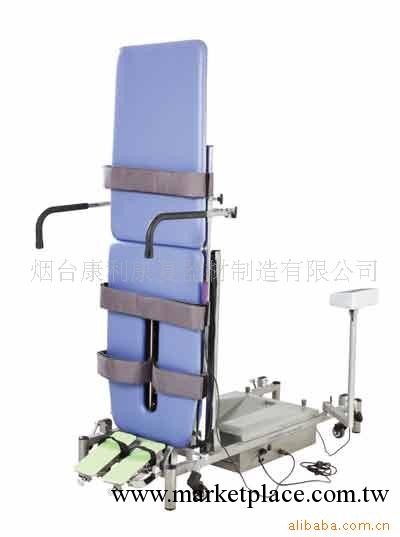 電動直立床，醫療器材，電動床，醫療設備，工廠,批發,進口,代購