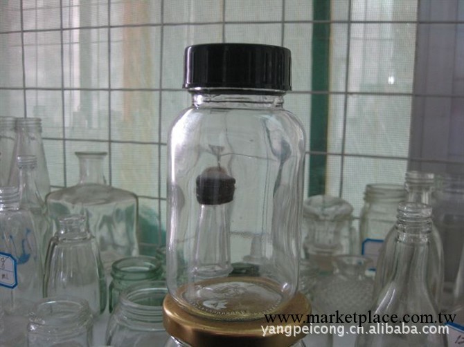 供應琵琶膏玻璃瓶醫用玻璃瓶膠囊玻璃瓶口服液玻璃瓶配套塑料蓋批發・進口・工廠・代買・代購