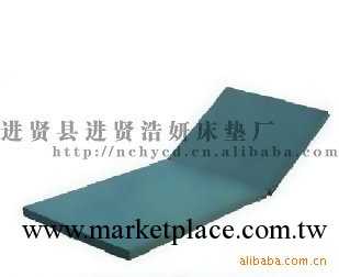 *半棕半棉防水佈單搖床墊 等醫用設備　生產加工*工廠,批發,進口,代購