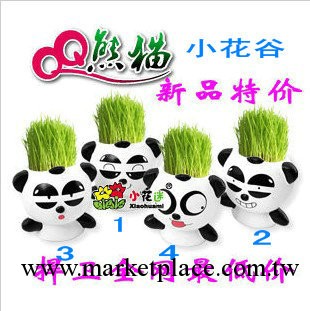 批發草頭娃娃微型盆景 青草種植 正品地攤（QQ熊貓）迷你植物奇特工廠,批發,進口,代購