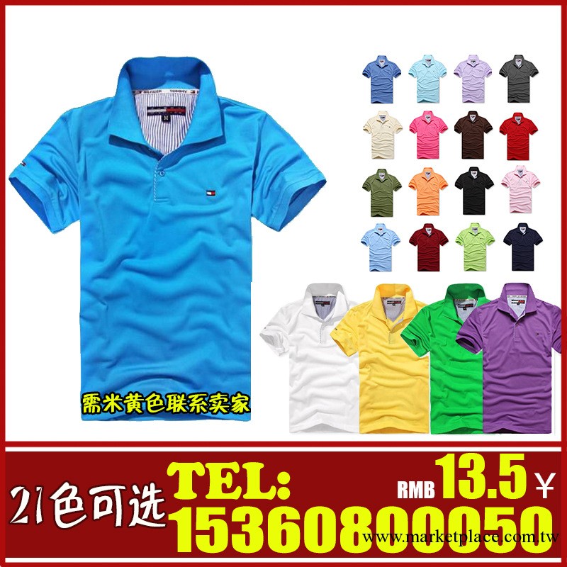 2013品牌新款男式短袖polo衫翻領T恤 原單外貿polo 21色可選工廠,批發,進口,代購
