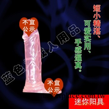 批發供應酒店特供情趣用品 迷你極小陽具 情趣用品代理工廠,批發,進口,代購