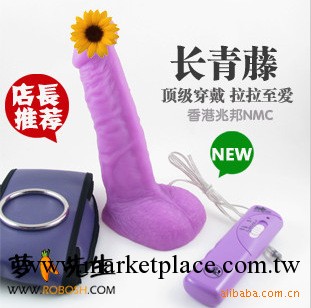 長青藤香港兆邦 拉拉用品 女同志用品 頂級穿戴陽具工廠,批發,進口,代購