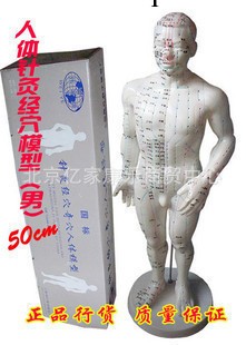 人體針灸模型人體模型人體經絡模型穴位模型男50CM女48CM工廠,批發,進口,代購