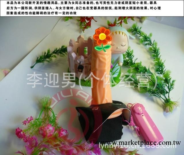 陽具皮褲 情侶用品 性器具系列工廠,批發,進口,代購