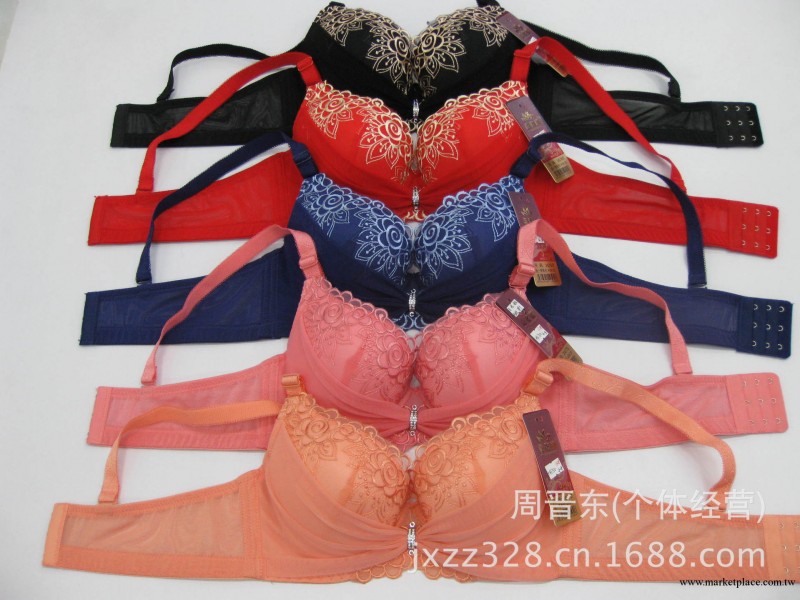 2013秋冬新款 繡花胸罩 嘉姿娜1308工廠,批發,進口,代購