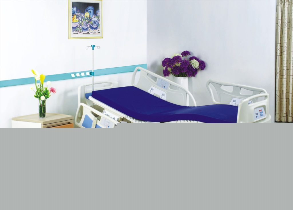 睿動 供應電動多功能護理床 ABS醫用護理床 ICU電動床工廠,批發,進口,代購