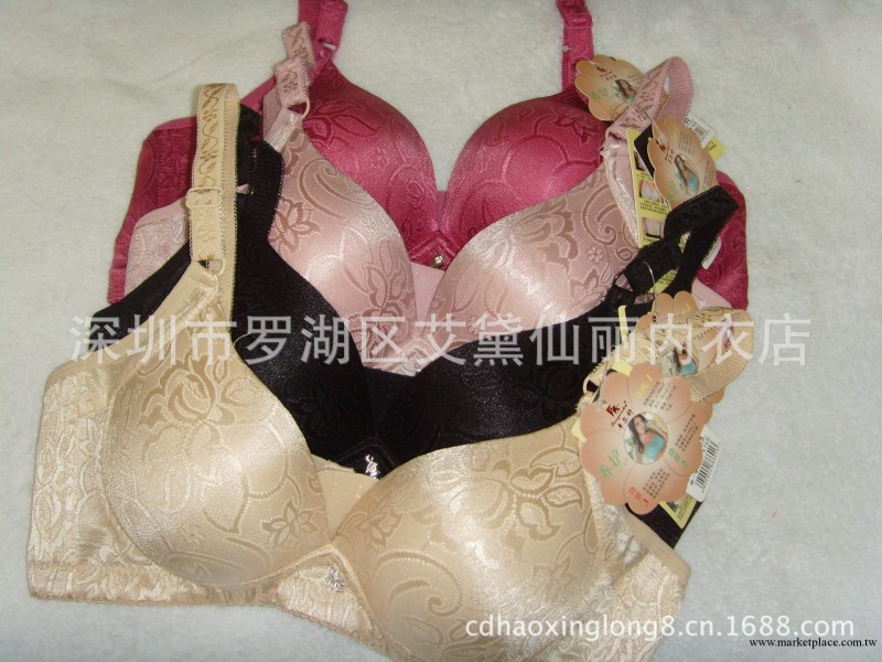 正品豐爾舒四排口無鋼圈胸罩6601款內衣批發 誠招各地二級代理工廠,批發,進口,代購