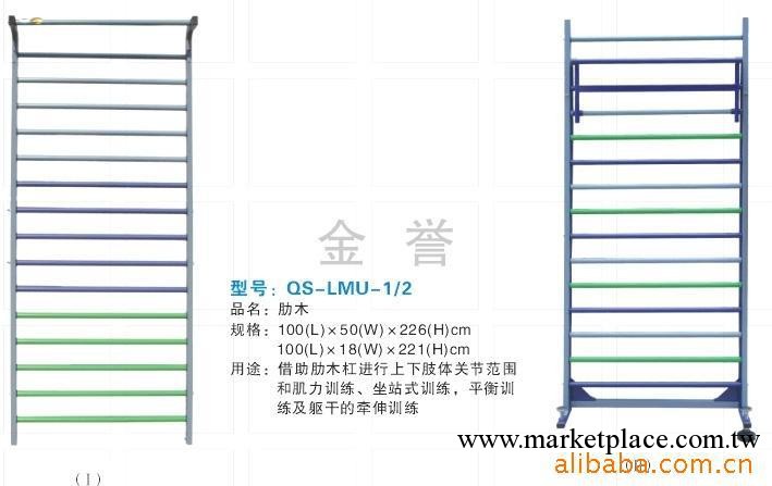 金譽復健器材/醫療器械/肋木 做站訓練 平衡訓練醫療電療設備工廠,批發,進口,代購