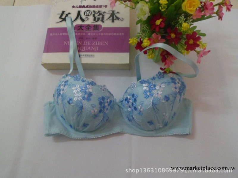 日韓原單胸罩  繡花獨特   淡雅高貴女之愛工廠,批發,進口,代購