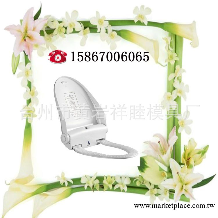 智能馬桶塑料模具 高精度塑料模具 可以產品加工工廠,批發,進口,代購