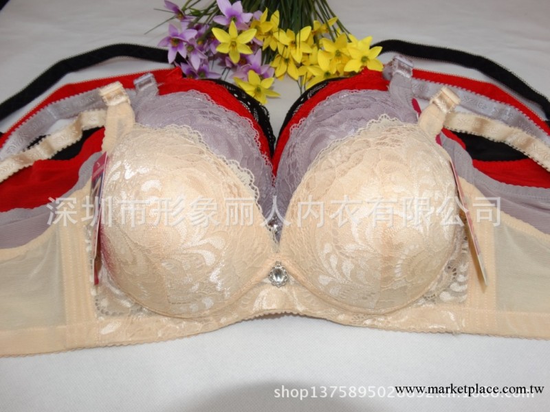 批發供應 淘寶熱賣款胸罩 無骨特價女士內衣  厚杯 曼姿美蝶工廠,批發,進口,代購