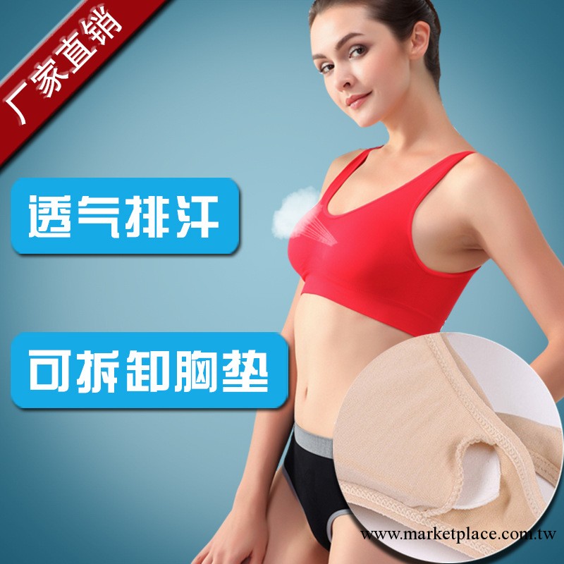 網絡爆款 無縫運動無鋼圈胸罩 日系純色睡眠背心式內衣 廠傢批發工廠,批發,進口,代購