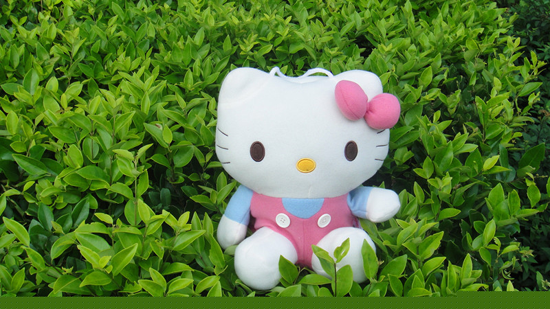 廠傢直銷各種大小毛絨玩具各種商務禮品hello kitty毯子凱蒂貓KT工廠,批發,進口,代購