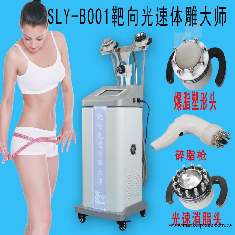 廣州聖力亞美容機器 減肥機器 最新靶向碎脂機 RF射頻減肥美容機工廠,批發,進口,代購