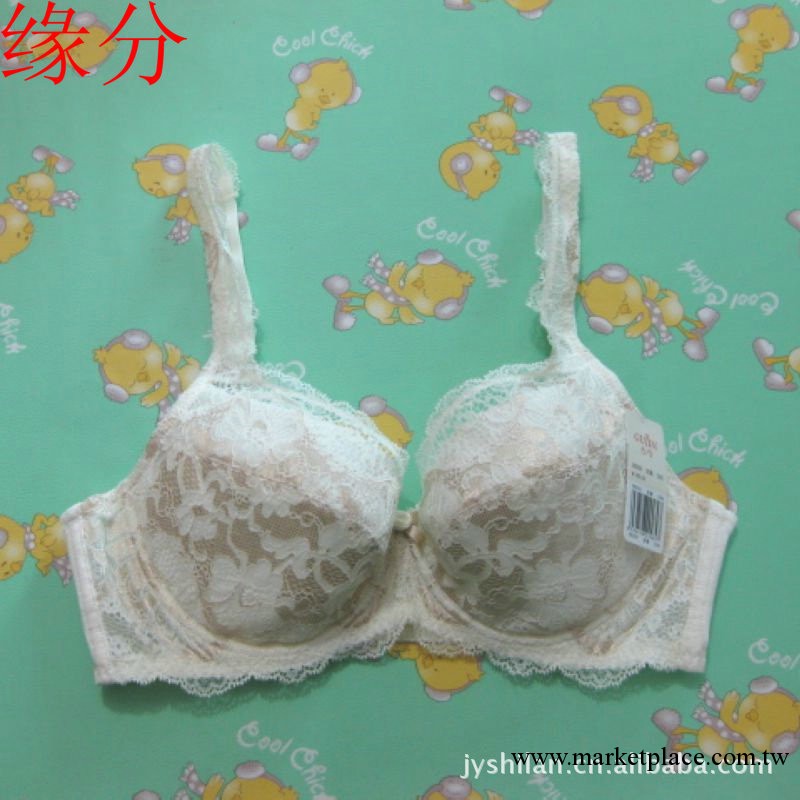 專櫃正品古今0B250*四排扣大罩杯包容好寬側翼調整型胸罩工廠,批發,進口,代購